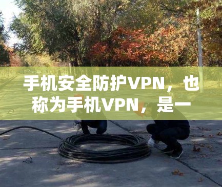 手机安全防护VPN，也称为手机VPN，是一种专门设计于手机的网络服务，旨在提供加密方式和多点对多的访问功能。以下是关于该设备的详细信息