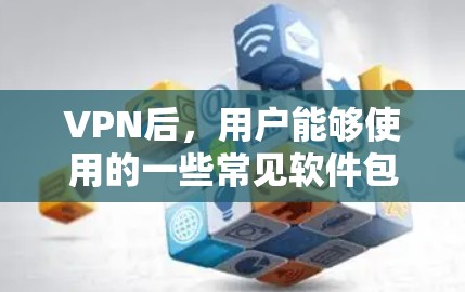 VPN后，用户能够使用的一些常见软件包括以下列表，这些软件通常在用户上传的软件包中，因此理论上是可以使用的