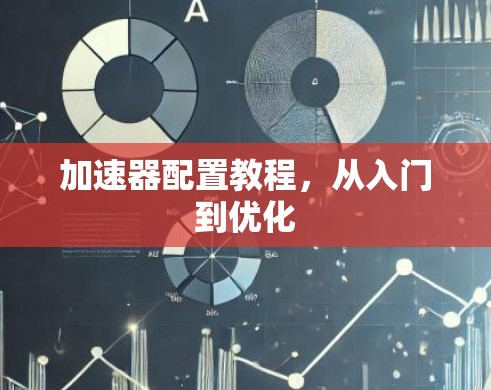 加速器配置教程，从入门到优化