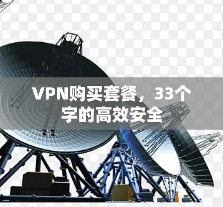 VPN购买套餐，33个字的高效安全