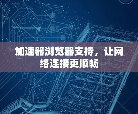 加速器浏览器支持，让网络连接更顺畅