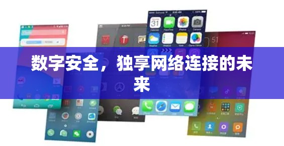 数字安全，独享网络连接的未来