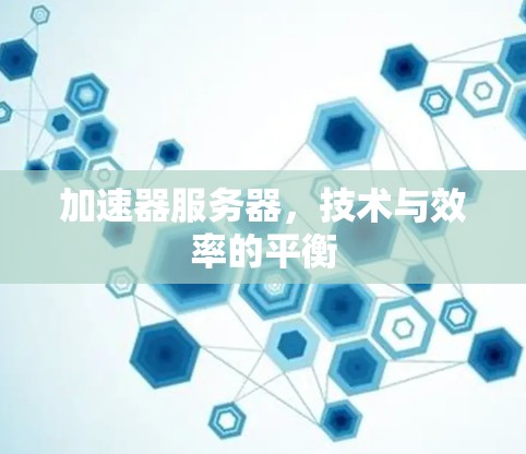 加速器服务器，技术与效率的平衡