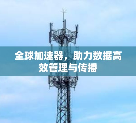 全球加速器，助力数据高效管理与传播