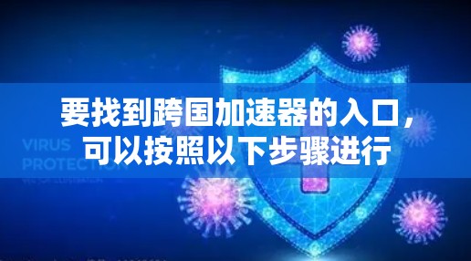要找到跨国加速器的入口，可以按照以下步骤进行