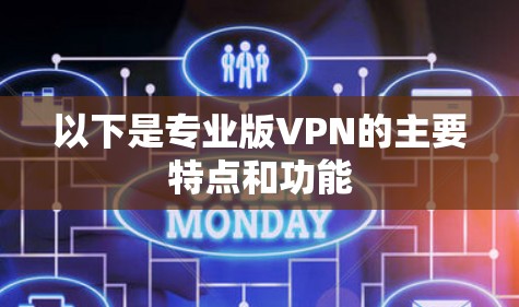 以下是专业版VPN的主要特点和功能