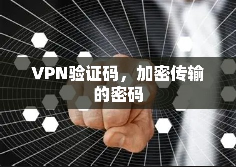 VPN验证码，加密传输的密码