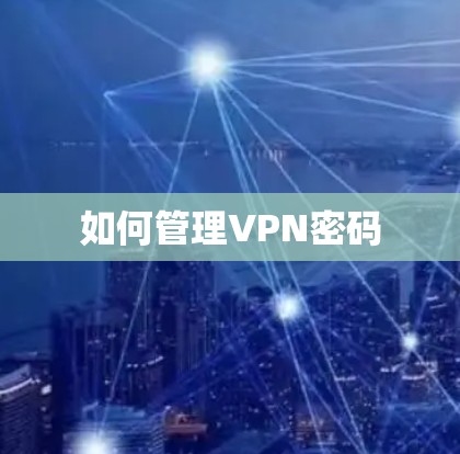 如何管理VPN密码