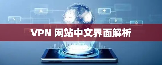 VPN 网站中文界面解析