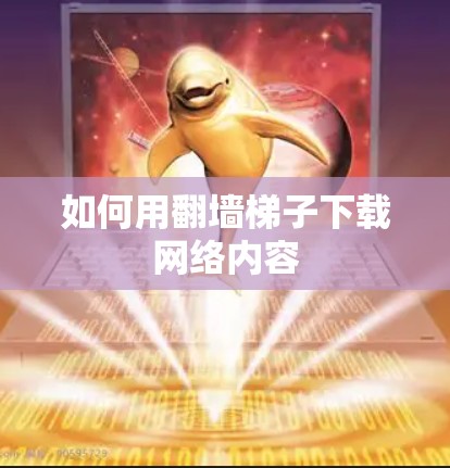 如何用翻墙梯子下载网络内容