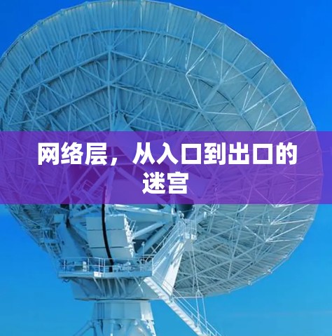网络层，从入口到出口的迷宫