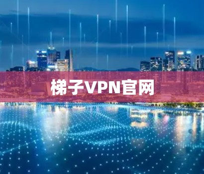 梯子VPN官网