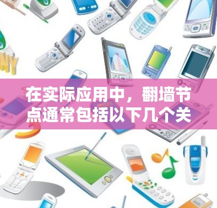 在实际应用中，翻墙节点通常包括以下几个关键部分