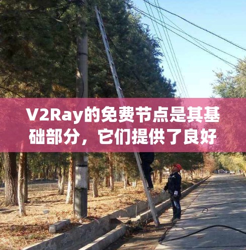 V2Ray的免费节点是其基础部分，它们提供了良好的实时性能和扩展能力。以下是关于V2Ray免费节点的详细信息
