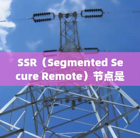 SSR（Segmented Secure Remote）节点是一种用于数据隐私保护的网络架构，主要用于端到端数据传输（E2EPP）以下是对SSR节点的详细分析