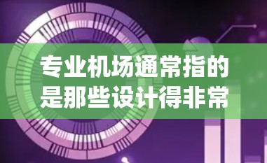 专业机场通常指的是那些设计得非常专业、功能齐全、设施完善的机场。这些机场通常在设计、施工、运营等方面都表现出高度的现代化和精细化处理，能够满足不同游客需求的 airport
