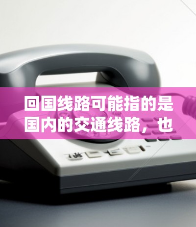 回国线路可能指的是国内的交通线路，也就是中国的国内铁路、公路、航空、水路等交通系统。以下是一些具体的国内交通线路