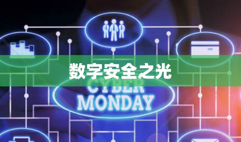 数字安全之光
