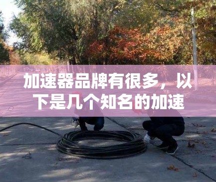 加速器品牌有很多，以下是几个知名的加速器品牌推荐，供您参考