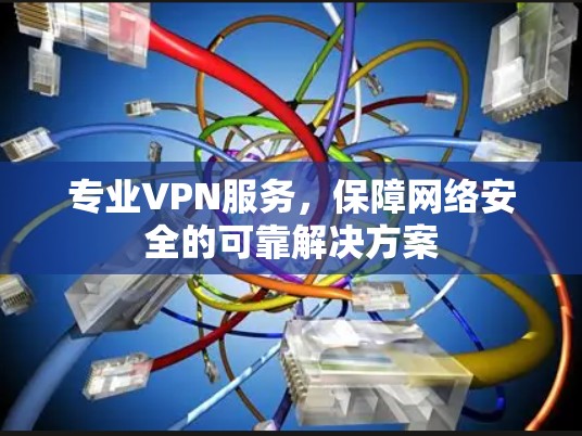 专业VPN服务，保障网络安全的可靠解决方案