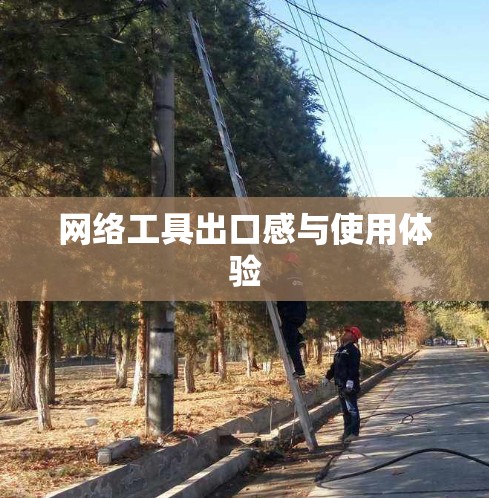 网络工具出口感与使用体验