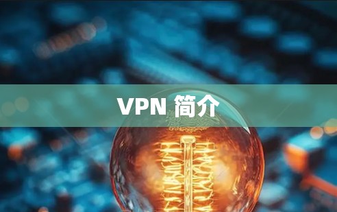 VPN 简介