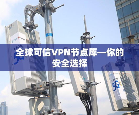 全球可信VPN节点库—你的安全选择
