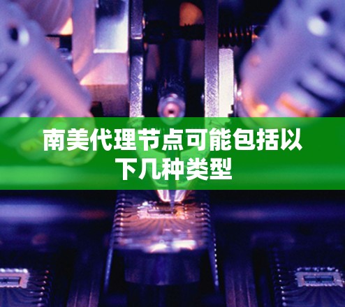 南美代理节点可能包括以下几种类型