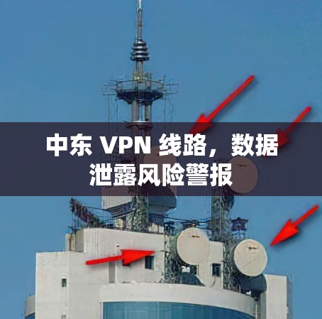 中东 VPN 线路，数据泄露风险警报