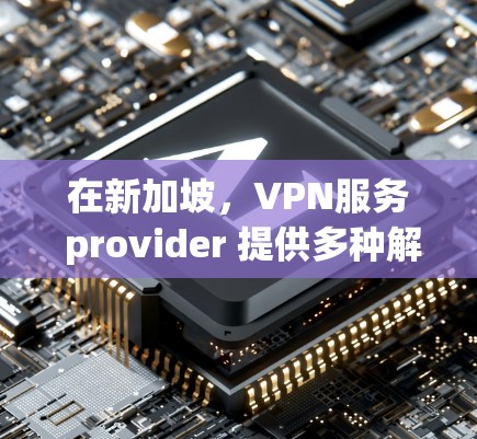 在新加坡，VPN服务 provider 提供多种解决方案，以满足不同用户的需求。以下是一些新加坡的VPN服务器和推荐服务