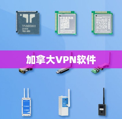 加拿大VPN软件