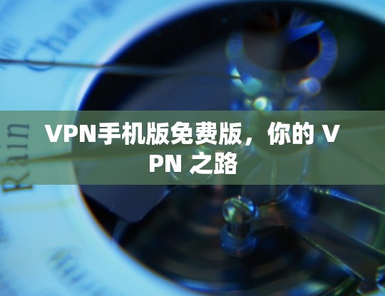 VPN手机版免费版，你的 VPN 之路