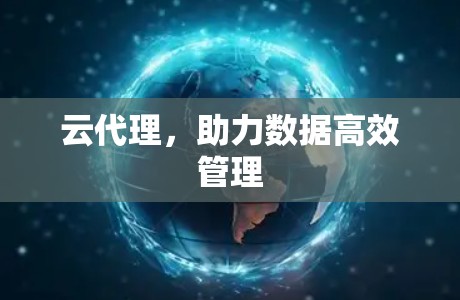 云代理，助力数据高效管理