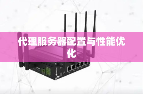 代理服务器配置与性能优化