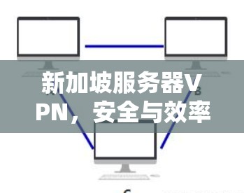 新加坡服务器VPN，安全与效率的双刃剑