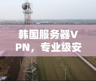 韩国服务器VPN，专业级安全，本地化配置，最优质的网络体验