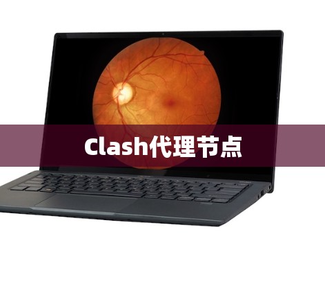 Clash代理节点