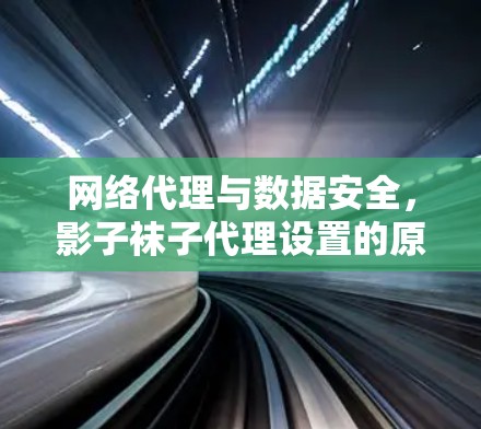 网络代理与数据安全，影子袜子代理设置的原理与实践