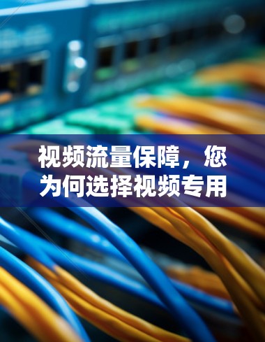 视频流量保障，您为何选择视频专用VPN？