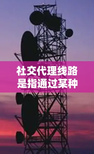 社交代理线路是指通过某种平台或服务，将个人或企业联系到更多的人，促进社交互动的网络结构或渠道。以下是关于社交代理线路的详细信息