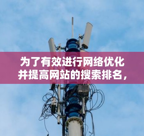 为了有效进行网络优化并提高网站的搜索排名，可以按照以下步骤进行