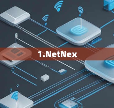 1.NetNex