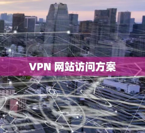 VPN 网站访问方案