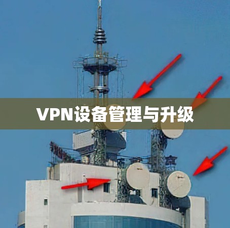 VPN设备管理与升级
