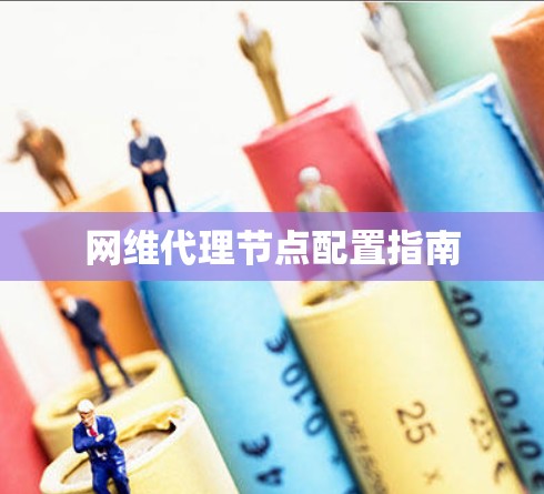 网维代理节点配置指南