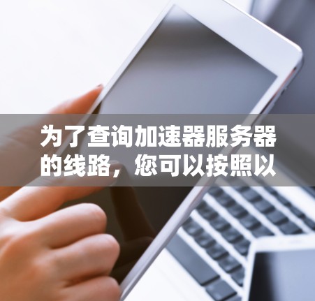 为了查询加速器服务器的线路，您可以按照以下步骤操作