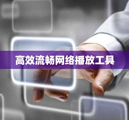 高效流畅网络播放工具
