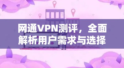 网通VPN测评，全面解析用户需求与选择