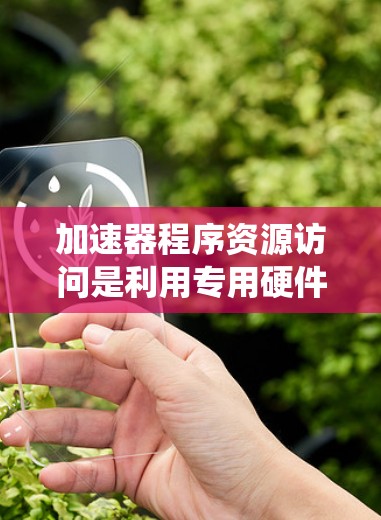 加速器程序资源访问是利用专用硬件加速特定程序资源的访问，以提高程序性能和效率。以下是对该主题的系统性总结
