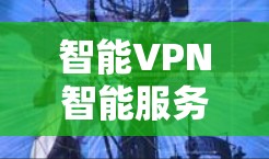 智能VPN智能服务器选择